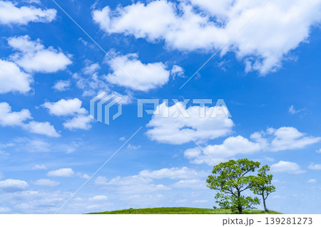 春の青空と雲と草原 春の青空と雲と草原 139281273