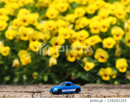 ミニカーのある風景　黄色いお花が背景のコペン2 139281285