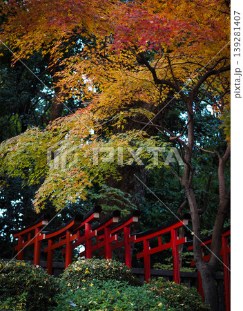 紅葉の中の赤い鳥居 139281407