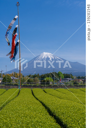 富士市茶畑から富士山と青空に泳ぐこいのぼり 139281548
