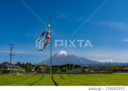富士市茶畑から富士山と青空に泳ぐこいのぼり 139281552