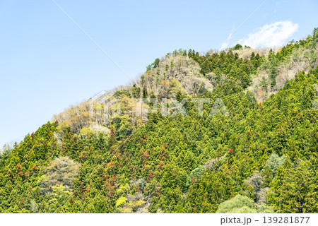 若葉に彩られた春の山の風景 b-4 フィルム調 若葉に彩られた春の山の風景 b-4 フィルム調 139281877