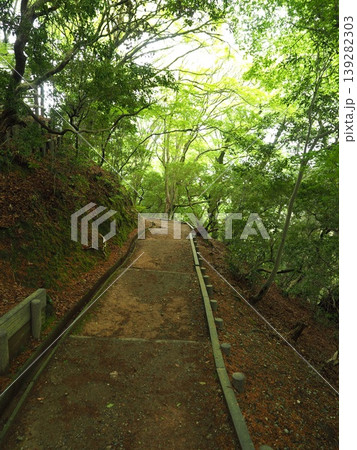 自然豊かなハイキングコース。若草山の森を抜ける心地よい散策道 139282303