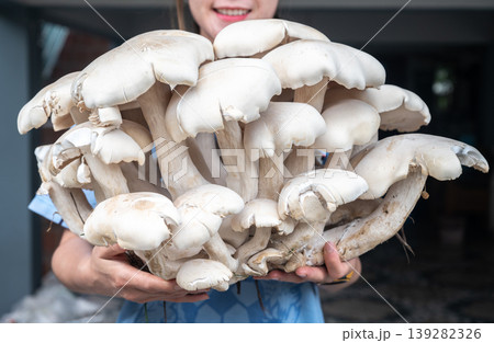 Woman holding big Macrogybe crassa mushroom in hands. This mushroom is a large, edible white mushroom native to tropical regions of Southeast Asia. 139282326