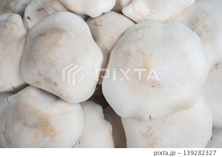 Full frame shot of unidentified mushroom caps. The mushroom cap, also known as the pileus, is the structure on top of the mushroom that holds the gills or pores. 139282327
