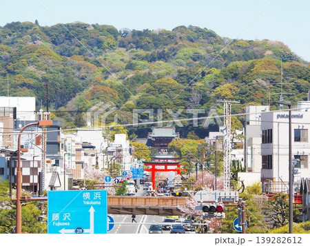 神奈川県 若宮大路と鶴岡八幡宮 4月 神奈川県 若宮大路と鶴岡八幡宮 4月 139282612