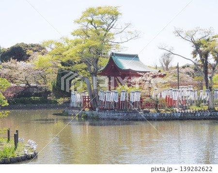 神奈川県 鶴岡八幡宮 旗上弁財天 4月 神奈川県 鶴岡八幡宮 旗上弁財天 4月 139282622