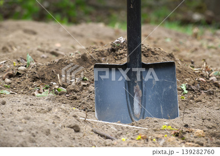 Gardening shovel stuck in freshly dug soil, ready for planting or landscaping Gardening shovel stuck in freshly dug soil, ready for planting or landscaping 139282760