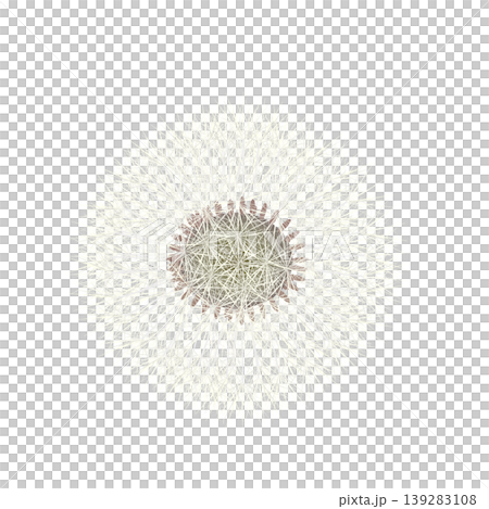 Dandelion fluff illustration Dandelion fluff illustration 139283108
