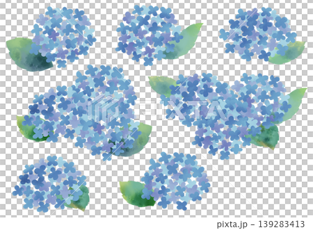 一組水彩風格的繡球花插圖。 一組水彩風格的繡球花插圖。 139283413