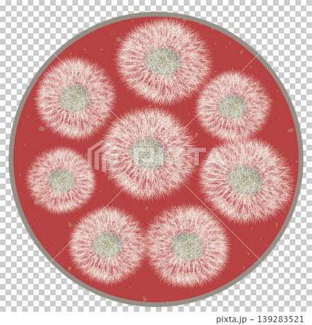 Dandelion fluff illustration with a circular background Dandelion fluff illustration with a circular background 139283521