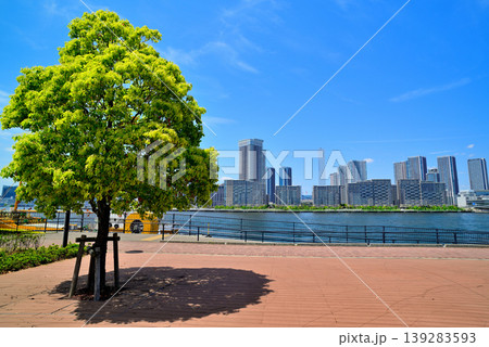 豊洲ぐるり公園から観た晴海フラッグのビル群 139283593