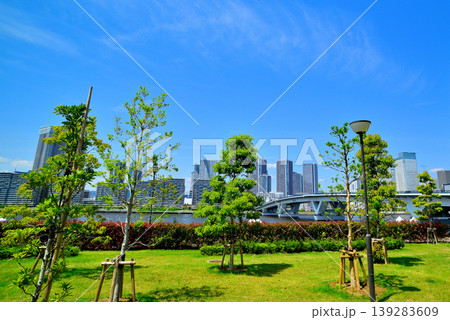 豊洲ぐるり公園から観た晴海フラッグのビル群 豊洲ぐるり公園から観た晴海フラッグのビル群 139283609