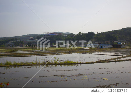 This is a view of the rice fields before planting rice in spring. This is a view of the rice fields before planting rice in spring. 139283755