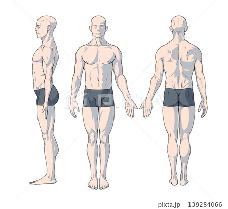 直立する男性の三面図(体表イメージ) 直立する男性の三面図(体表イメージ) 139284066