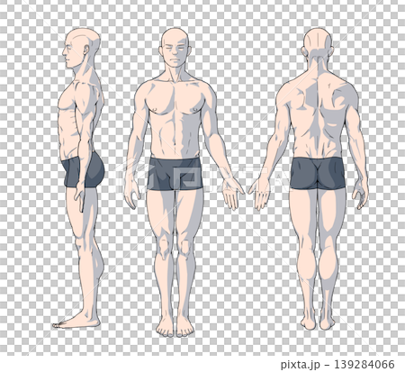 直立する男性の三面図(体表イメージ) 直立する男性の三面図(体表イメージ) 139284066