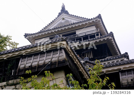 松山城 139284316
