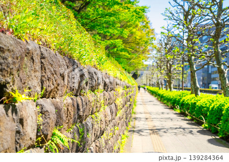 新緑の東京 青山通り東宮御所前 新緑の東京 青山通り東宮御所前 139284364