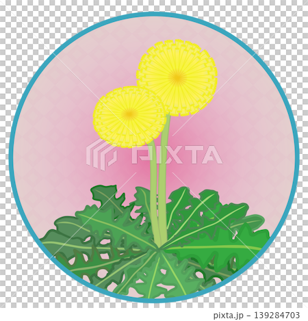 円形背景のついたタンポポのイラスト 円形背景のついたタンポポのイラスト 139284703
