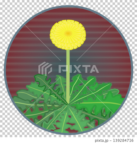 円形背景のついたタンポポのイラスト 139284716