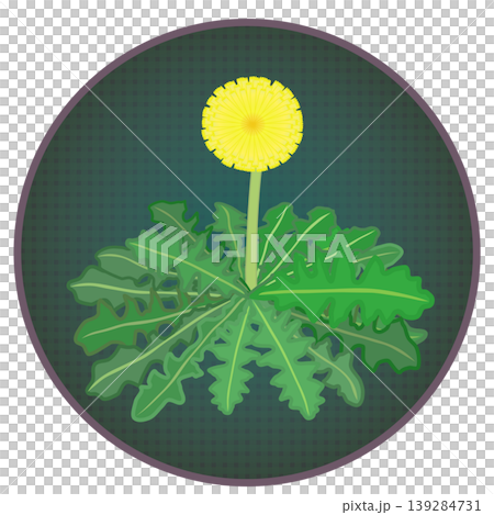 円形背景のついたタンポポのイラスト 円形背景のついたタンポポのイラスト 139284731