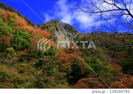 袋田の滝 袋田の滝 139284793