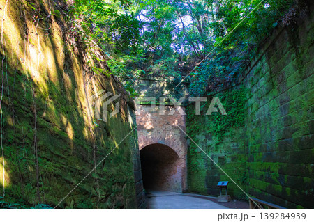 【神奈川県横須賀市・猿島】猿島観光 【神奈川県横須賀市・猿島】猿島観光 139284939