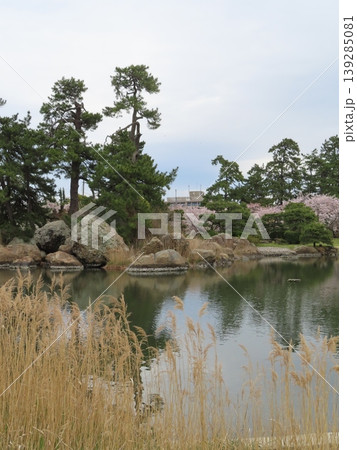 鳥取県米子市西町にある湊山公園みなとやまこうえんの日本庭園、公園の一部である米子城跡は国の史跡指定 鳥取県米子市西町にある湊山公園みなとやまこうえんの日本庭園、公園の一部である米子城跡は国の史跡指定 139285081