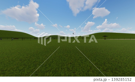 広々とした緑のドッグランの風景　犬無し（3DCG・イラスト） 139285152