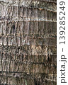 Background texture of a palm tree trunk with repeating natural patterns 139285249