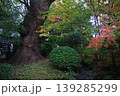 紅葉 139285299