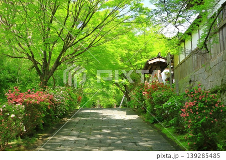 京都　曼殊院門跡　参道 139285485