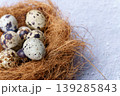 Quail eggs resting in a natural brown nest 139285843