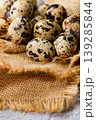 Quail eggs resting on rustic burlap fabric 139285844