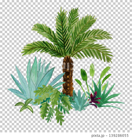 熱帶植物水彩畫 熱帶植物水彩畫 139286055