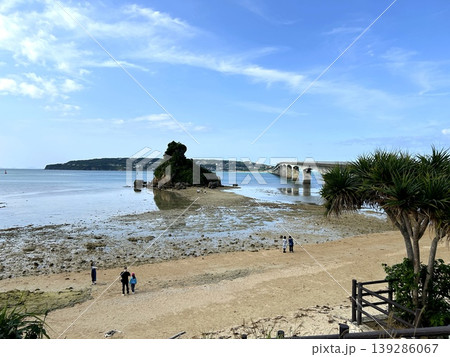 タコノキ越しに広がる古宇利大橋と干潮の海岸風景 139286067