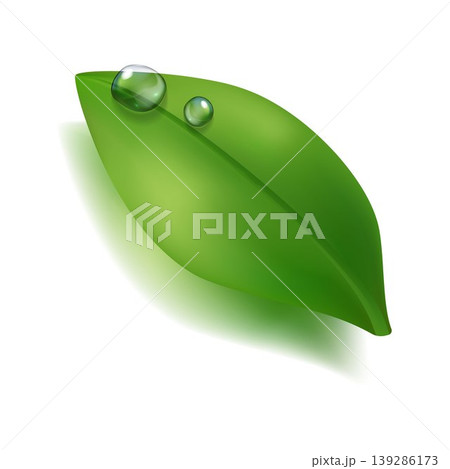 Fresh green leaf with realistic water drops and soft shadow. Clean natural vector isolated on light background, ideal for eco design, organic branding, freshness concepts and spring visuals 139286173