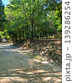 It is a forest road filled with trees. 139286254