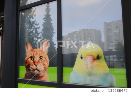 An orange cat and yellow bird are printed on a window. Buildings are outside An orange cat and yellow bird are printed on a window. Buildings are outside 139286472