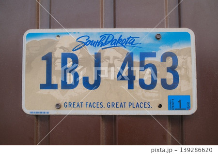 Brown surface: SD plate 1BJ453 139286620