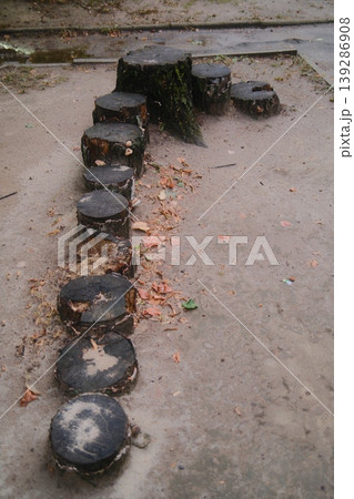 Stump path, likely for kids' play Stump path, likely for kids' play 139286908