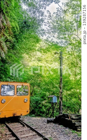 屋久島の深い森に佇む黄色い森林鉄道のトロッコ車両 屋久島の深い森に佇む黄色い森林鉄道のトロッコ車両 139287156
