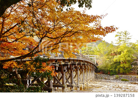 宇治橋と五十鈴川ともみじの風景 伊勢神宮内宮の紅葉の風景 秋の伊勢志摩観光スポット 宇治橋と五十鈴川ともみじの風景 伊勢神宮内宮の紅葉の風景 秋の伊勢志摩観光スポット 139287158