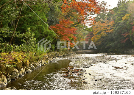 五十鈴川の清流ともみじの風景 伊勢神宮内宮の紅葉の風景 五十鈴川上流の風景 伊勢志摩観光スポット 五十鈴川の清流ともみじの風景 伊勢神宮内宮の紅葉の風景 五十鈴川上流の風景 伊勢志摩観光スポット 139287160