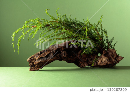 Old snag and juniper branches on a green background. Old snag and juniper branches on a green background. 139287299