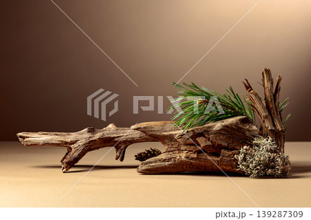 Abstract north nature scene with a composition of lichen, pine branches, and dry snags. 139287309
