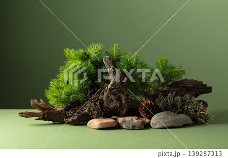 Abstract nature scene with a composition of spruce branches, stones, and dry snags. 139287313