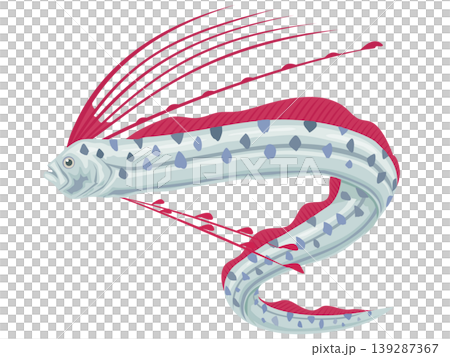 深海魚リュウグウノツカイ 139287367