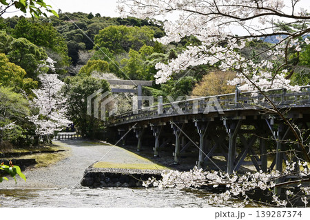 春の伊勢神宮　桜咲く内宮の風景　宇治橋と五十鈴川と桜　春爛漫の内宮　伊勢志摩観光スポット 139287374