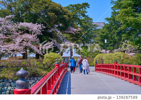 桜咲く神奈川県小田原市の小田原城東側の学橋から二の丸広場方面 139287589